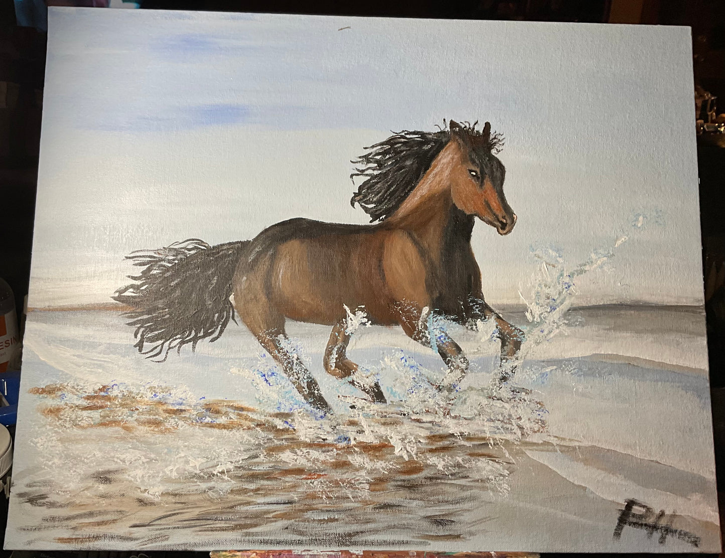 Beach Horse